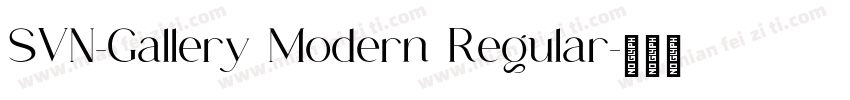 SVN-Gallery Modern Regular字体转换